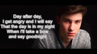 Video thumbnail of "Shawn Mendes - Add It Up Lyrics"