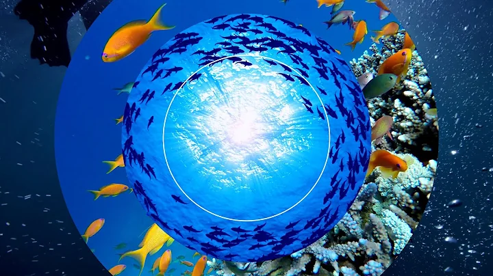 BEYOND ZERO | Exterior Badge Ocean ver. | Toyota