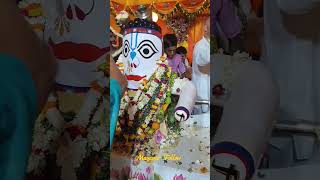 Jagannath Snan Yatra Festival 2023 screenshot 5