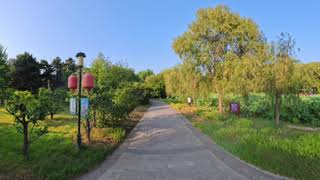 [VR Virtual Reality]  Walking on Peple park in Fengnan district  | City walk in Tangshan No.9