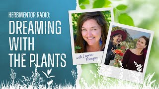 HerbMentor Radio: Lauren Morgan — Dreaming with the Plants