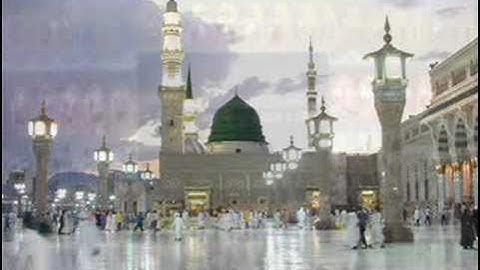 الشيخ علي جابر سورة الشمس