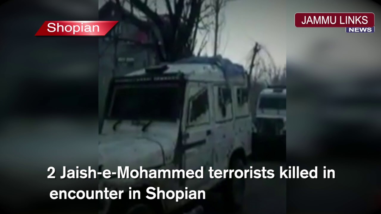 2 Jaish-e-Mohammed terrorists killed in encounter in Shopian