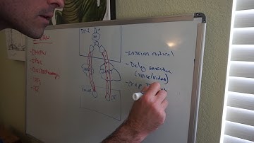 Cisco IWAN dicussion part 1