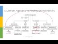 Learn OBGYN: Primary Amenorrhea