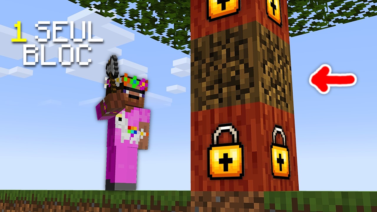 Peut-on Finir Minecraft en Minant qu'1 SEULE FOIS les Blocs?