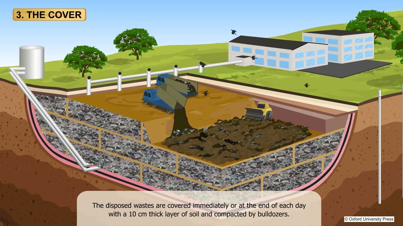 Class 6 garbage in garbage out Ryan International School CBSE board