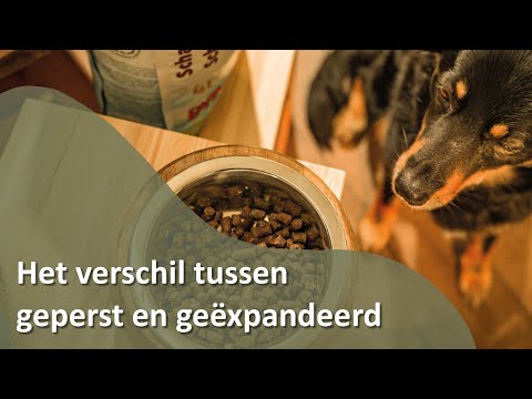 Video: Zijn Vrij Verkrijgbare Voedingsmiddelen Geschikt Voor Voedselproeven? - Nuggets Voor Hondenvoeding