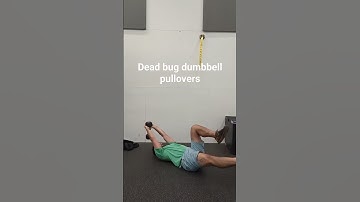 Dead bug alternating dumbbell pullovers