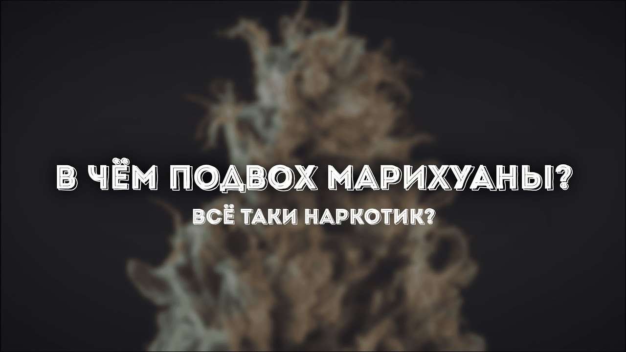 МАРИХУАНА: плюсы, минусы и подводные камни. Всё, что нужно знать о КАННАБИСЕ!