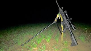 Thermal Hog Hunting Casería De Jabalí Uruguay