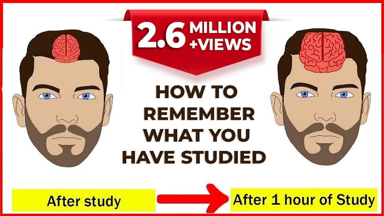 How To Remember What You Study How To Increase Your Memory Power Study Tips Letstute Youtube