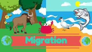 Migration  Science for Kids | @PrimaryWorld