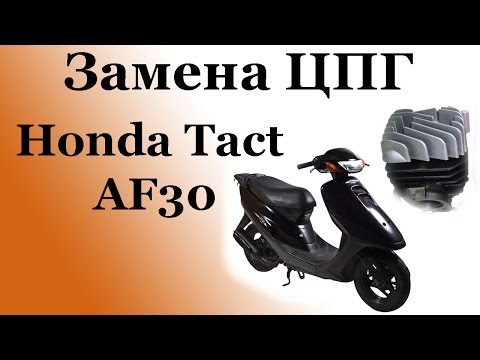 СВОИМИ РУКАМИ: Замена ЦПГ на скутере Honda Tact AF30