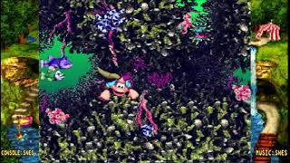 Donkey Kong Country 3 (SNES/GBA/Wii/NSO) - Part 04. Cotton-Top Cove