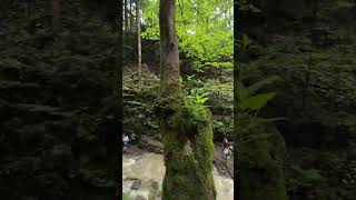 Discover the Hidden Beauty of Manyavsky Waterfall