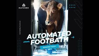 DeLaval Automated Footbath