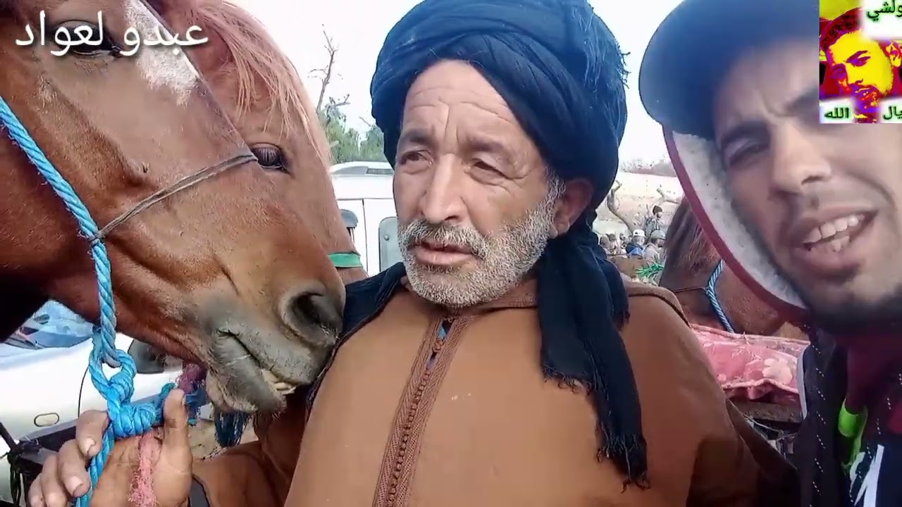 العواد فوسوق ب فيديو جديد 🤣🤣🤣🤣🤣🤣🤣🤣🤣🙈🙈🙈🙈💥💥💥💥💥💥💥