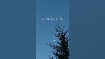 #القارئ_علي_جابر #سورة_الاحزاب الاية56