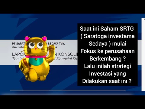Inilah isi Laporan keuangan kuartal II 2024 saham SRTG ( Saratoga ) #ihsg #investasi lo kheng hong