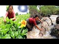 survival in the rainforest - find green vegetable & cook fish for dog - Eating delicious HD