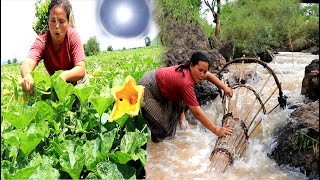 survival in the rainforest - find green vegetable & cook fish for dog - Eating delicious HD