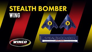 Stealth Bomber by Black Cat Fireworks 60/2 WGBC931