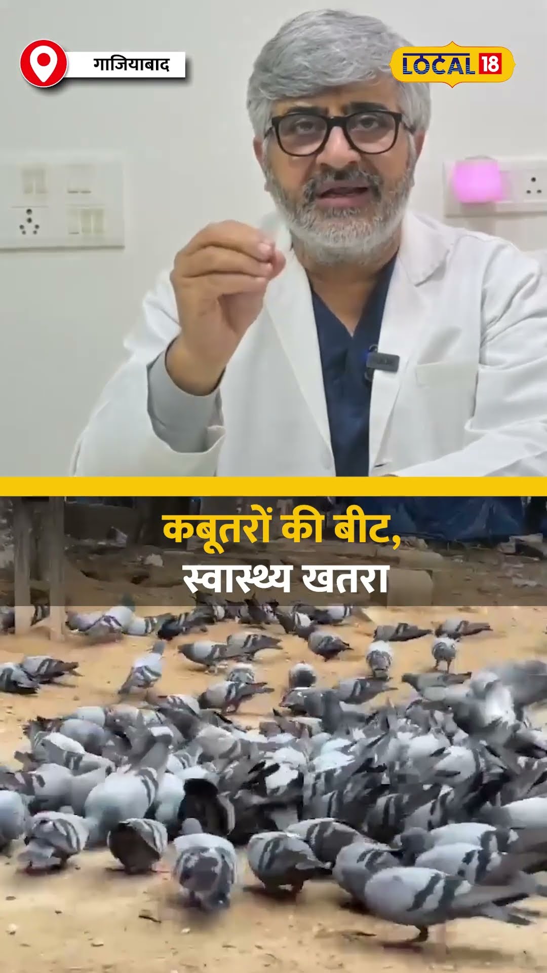 चिट्ठी नहीं, अब बीमारियां लाते हैं कबूतर, इनकी बीट , स्वास्थ्य को नुकसान #local18shorts