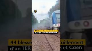 Un accident de TER fait 44 blessés