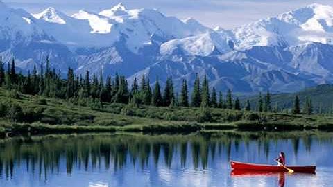 Freud  -world of wonders-