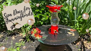 Turn a $ Tree Feeder Upside Down for a HUMMINGBIRD BATH!