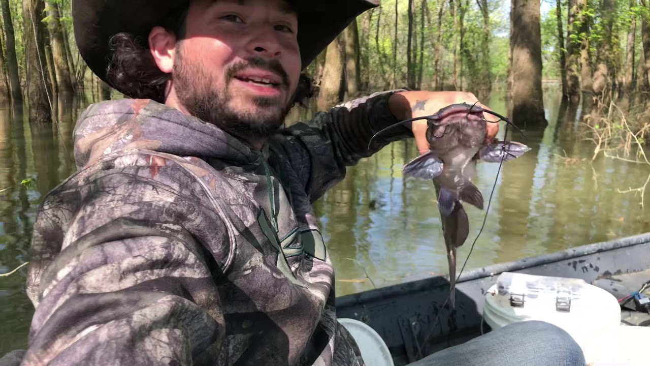 Checking limb lines in flooded timber YouTube