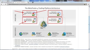 Обучение MetaTrader 4: Введение