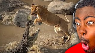 видео: Факты о животных, которые нам НУЖНО забыть!! картинка: Факты о животных, которые нам НУЖНО забыть!!