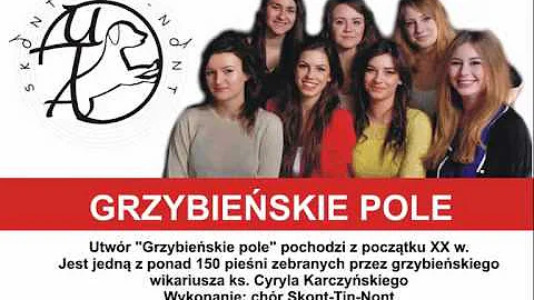 grzybieskie pole