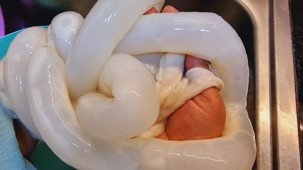 تنظيف الممبار بسرعة الصاروخ نضفته بحاجة متخطرش على بال العفريت اوديكى فين يا افكارى افتح يا ترند