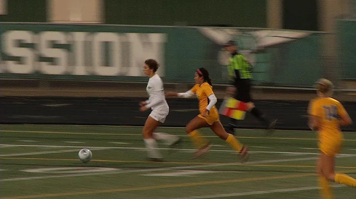 Wayzata Girls Soccer Loses Heartbreaker in State T...