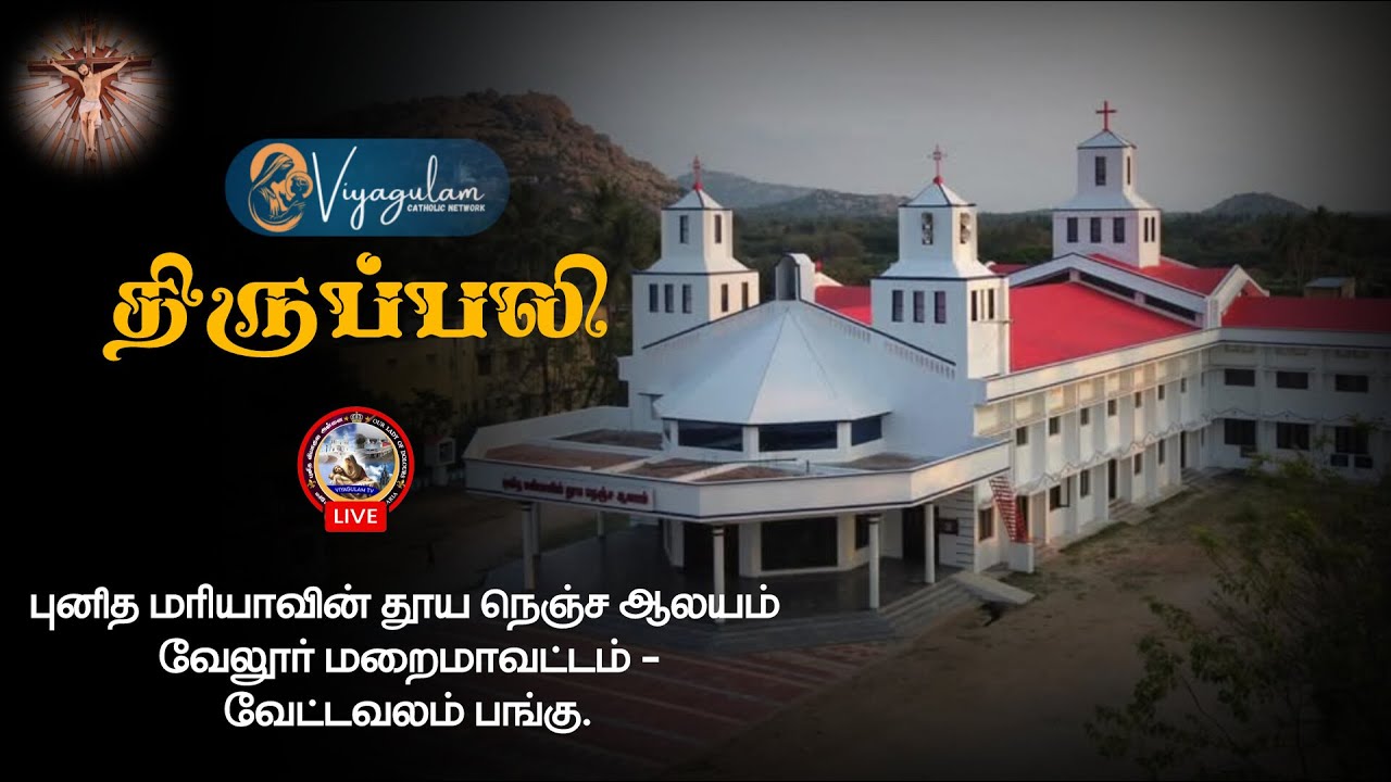 🔴🅻🅸🆅🅴 19 January 2026 திருப்பலி | புனித மரியாவின் தூய நெஞ்ச ஆலயம் | வேட்டவலம் | Viyagulam Tv