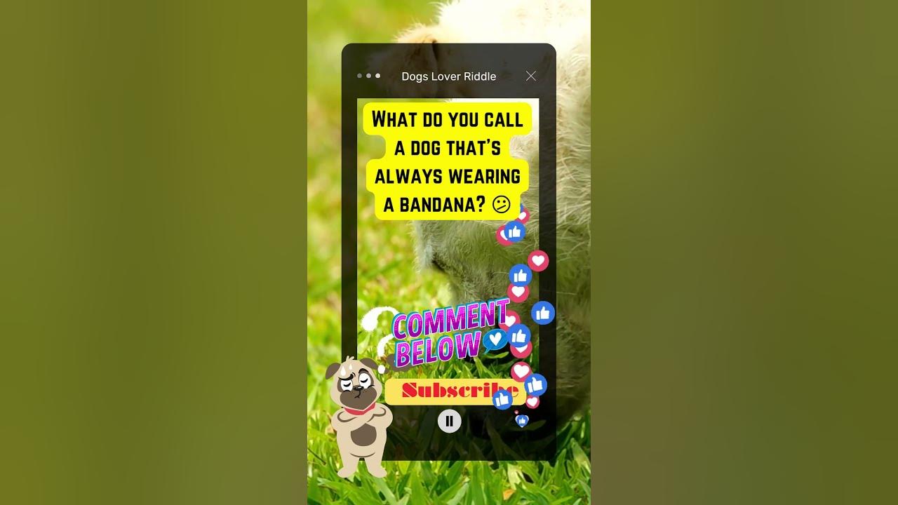 Dogs Riddle | Dogs Riddles in English | Riddles with Answer | Hard