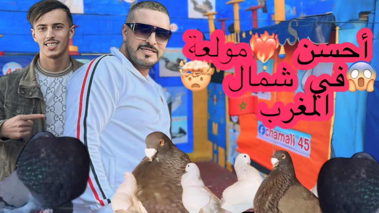 زيارة عند اكبر مولوع😱 في شمال المغرب 🇲🇦ما يمكنش🤯 صدمني بالحمام اللي عنده🕊️😱🇳🇱🤔