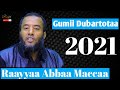 Raayyaa abbaa maccaa    2021