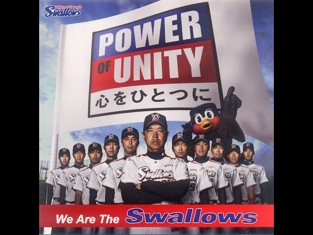 We Are The Swallows - YouTube