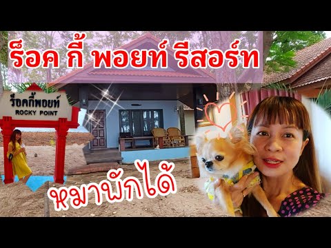ร็อค กี้ พอยท์ รีสอร์ท ทับสะแก ประจวบ รีสอร์ท หมาเข้าได้ #หมาพักได้ #หมา #รีสอร์ทหมาพักได้