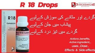 Reckeweg R 18 Drops Homeopathic Medicine Benefits  R No 18 Drops For Kidney And Bladder