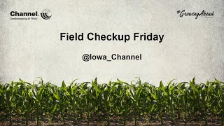 Field Checkup Friday: Soil Temperature and Soil Warmup
