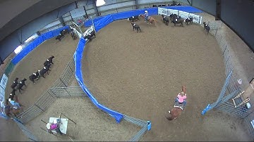 Big Sky Ranch Sorting Saddle Series #5 - #5 - Round #1 - Ride #36