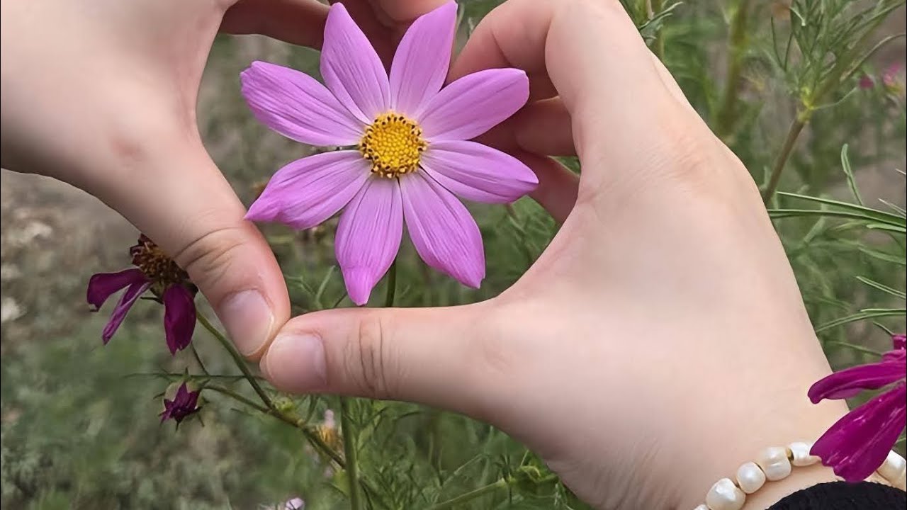  #تعالو_تعالو شوفو شنو وصلتني 🎁معاناتي مع  التكيس 🤕تعالو شوفو شنو الاسباب