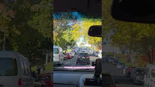 A busy Sunday in Pukekohe Auckland New Zealand 🇳🇿