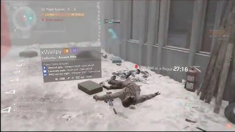 The Division Hacker..!! LITERALLY!!
