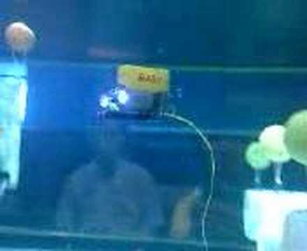 rov piloting